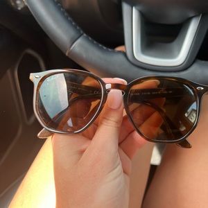 Polarized Ray Bans